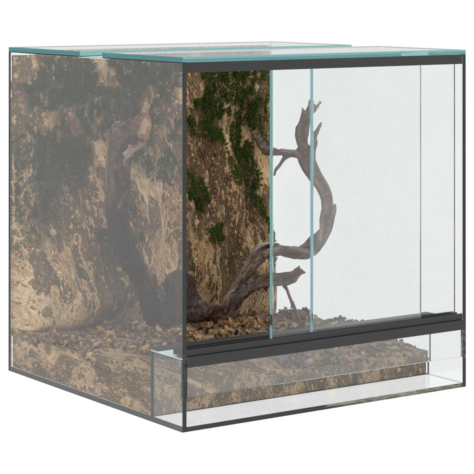 Terrarium met opslag Doorzichtig 30 x 30 x 30 cm Glas is nu te koop bij PeponiXL, paradijselijk wonen!