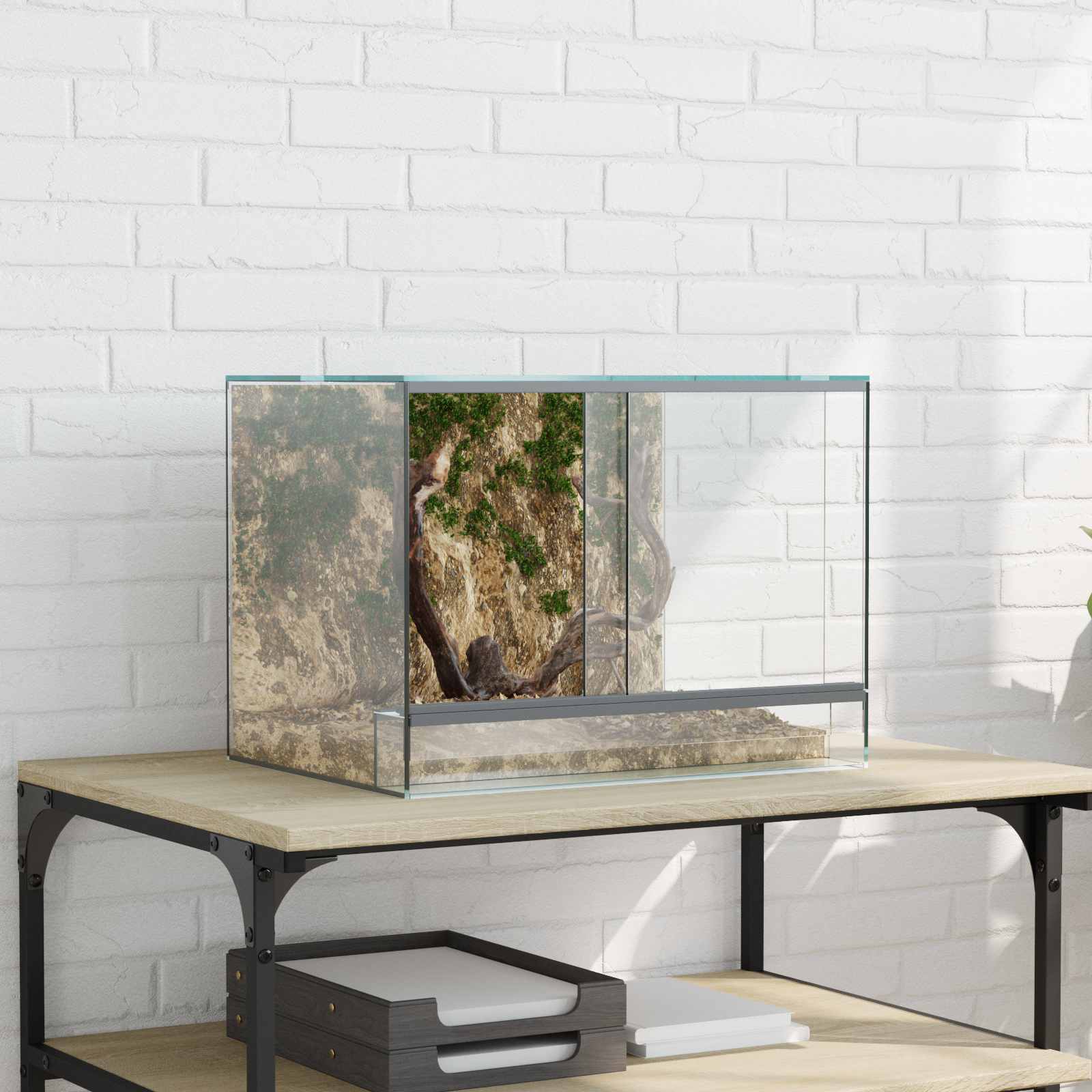 Terrarium met opslag Doorzichtig 40 x 30 x 30 cm Glas is nu te koop bij PeponiXL, paradijselijk wonen!