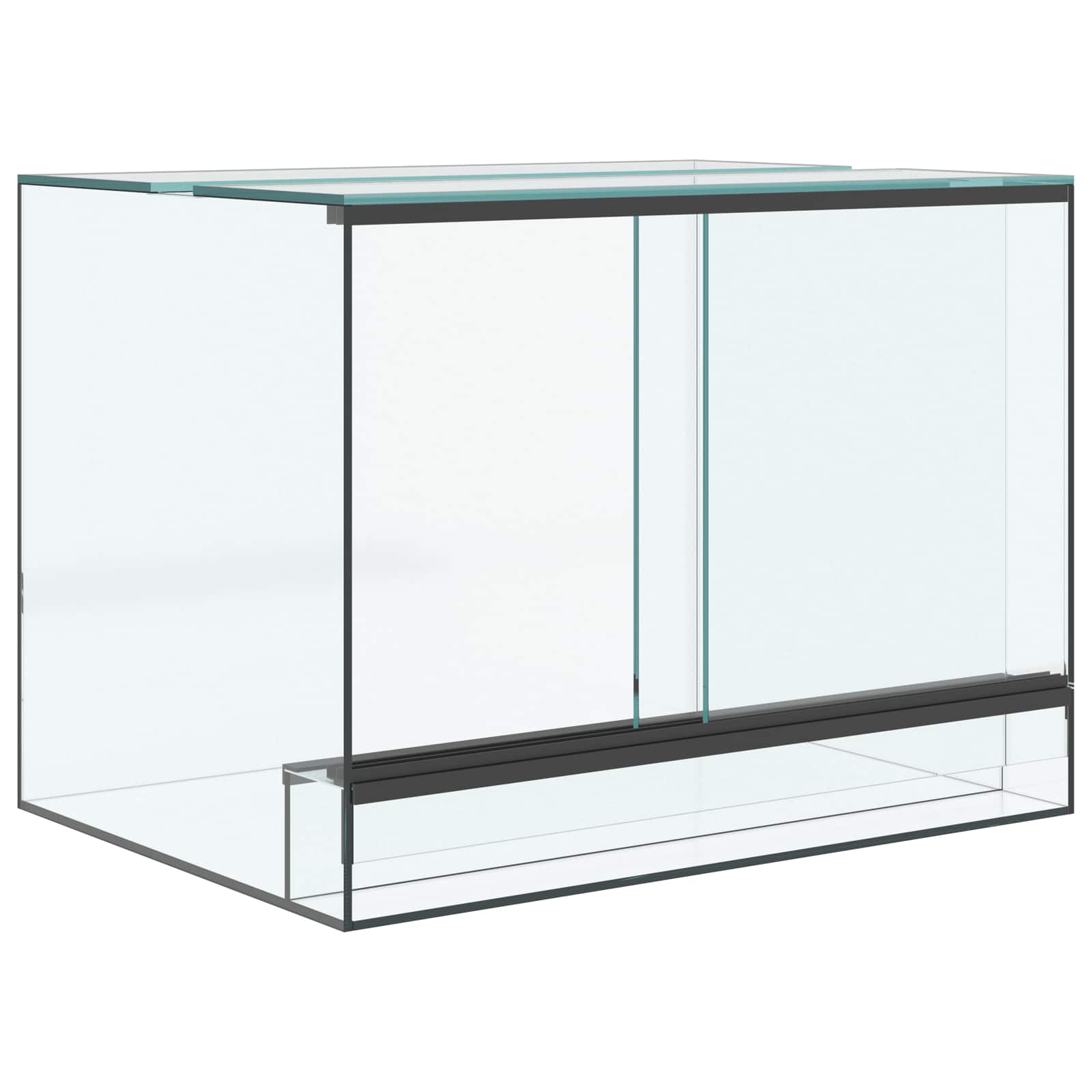 Terrarium met opslag Doorzichtig 40 x 30 x 30 cm Glas is nu te koop bij PeponiXL, paradijselijk wonen!
