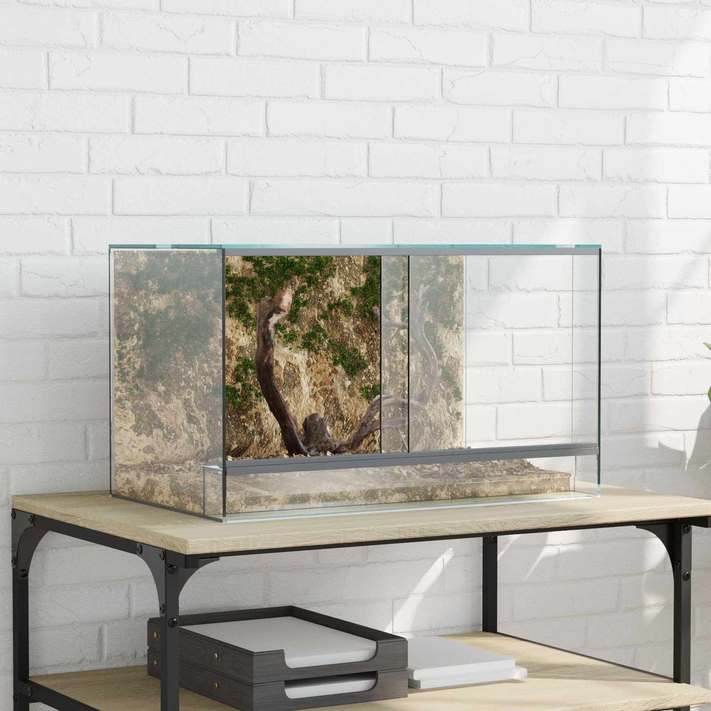 Terrarium met opslag Doorzichtig 50 x 30 x 30 cm Glas is nu te koop bij PeponiXL, paradijselijk wonen!
