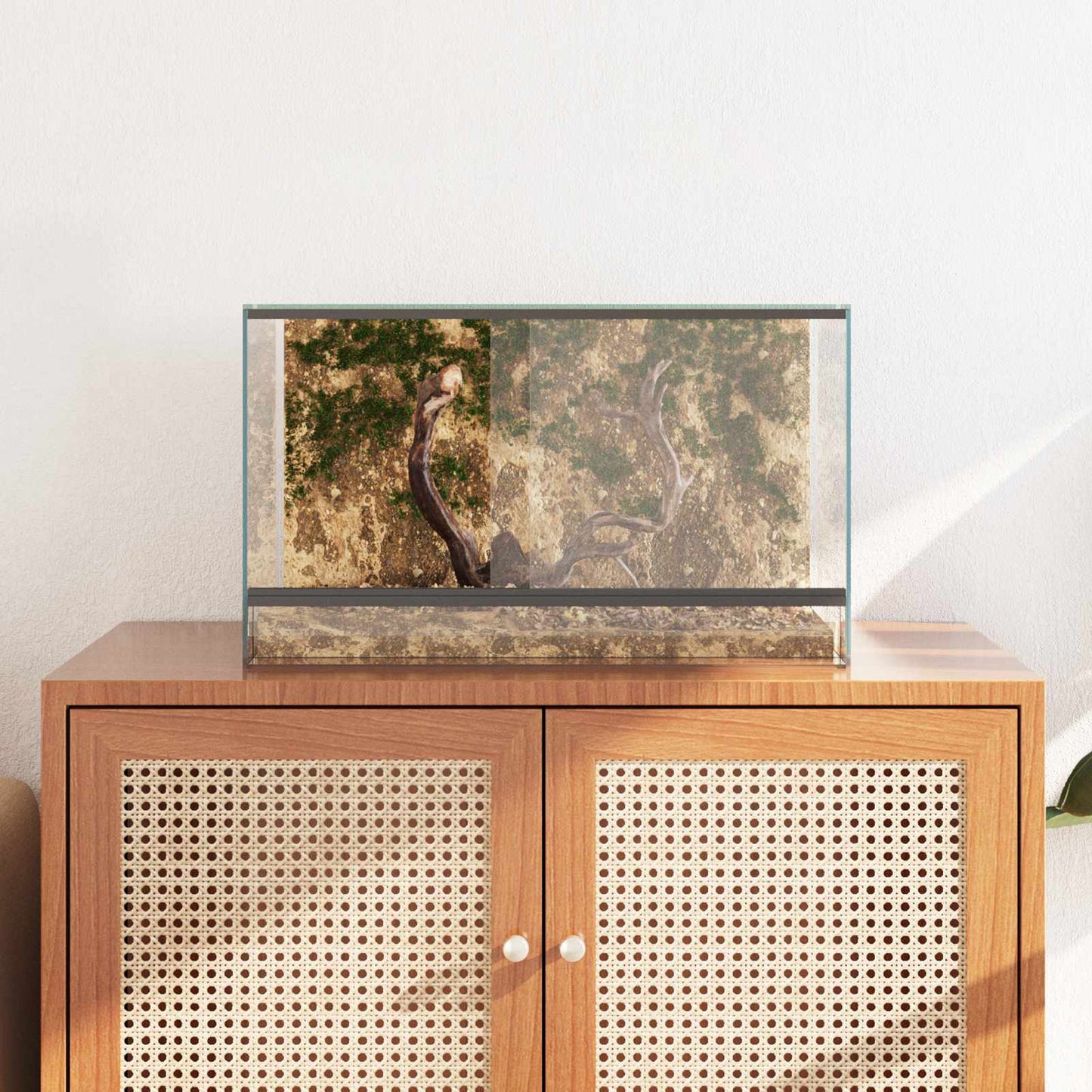 Terrarium met opslag Doorzichtig 50 x 30 x 30 cm Glas is nu te koop bij PeponiXL, paradijselijk wonen!
