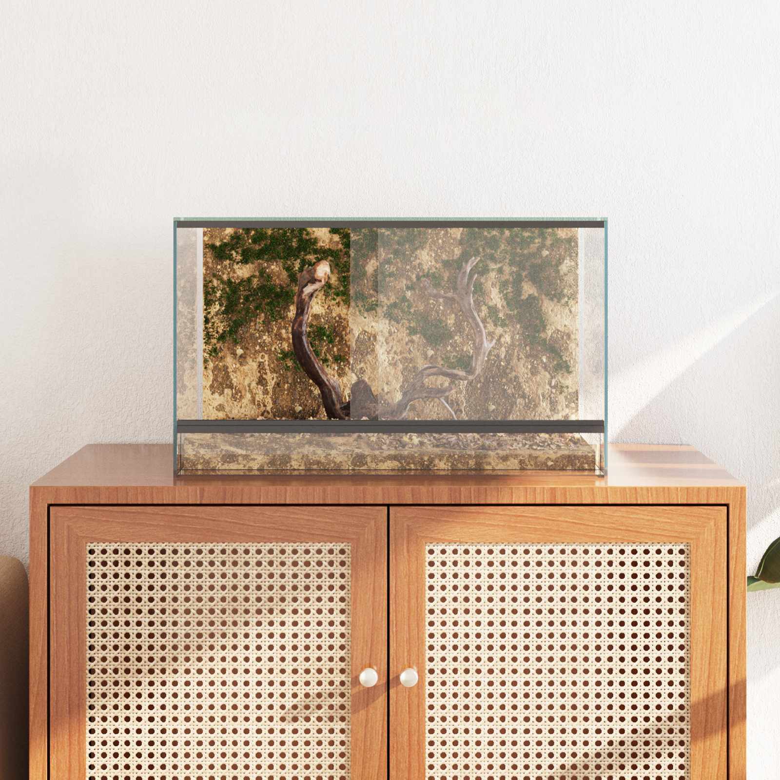 Terrarium met opslag Doorzichtig 50 x 30 x 30 cm Glas is nu te koop bij PeponiXL, paradijselijk wonen!