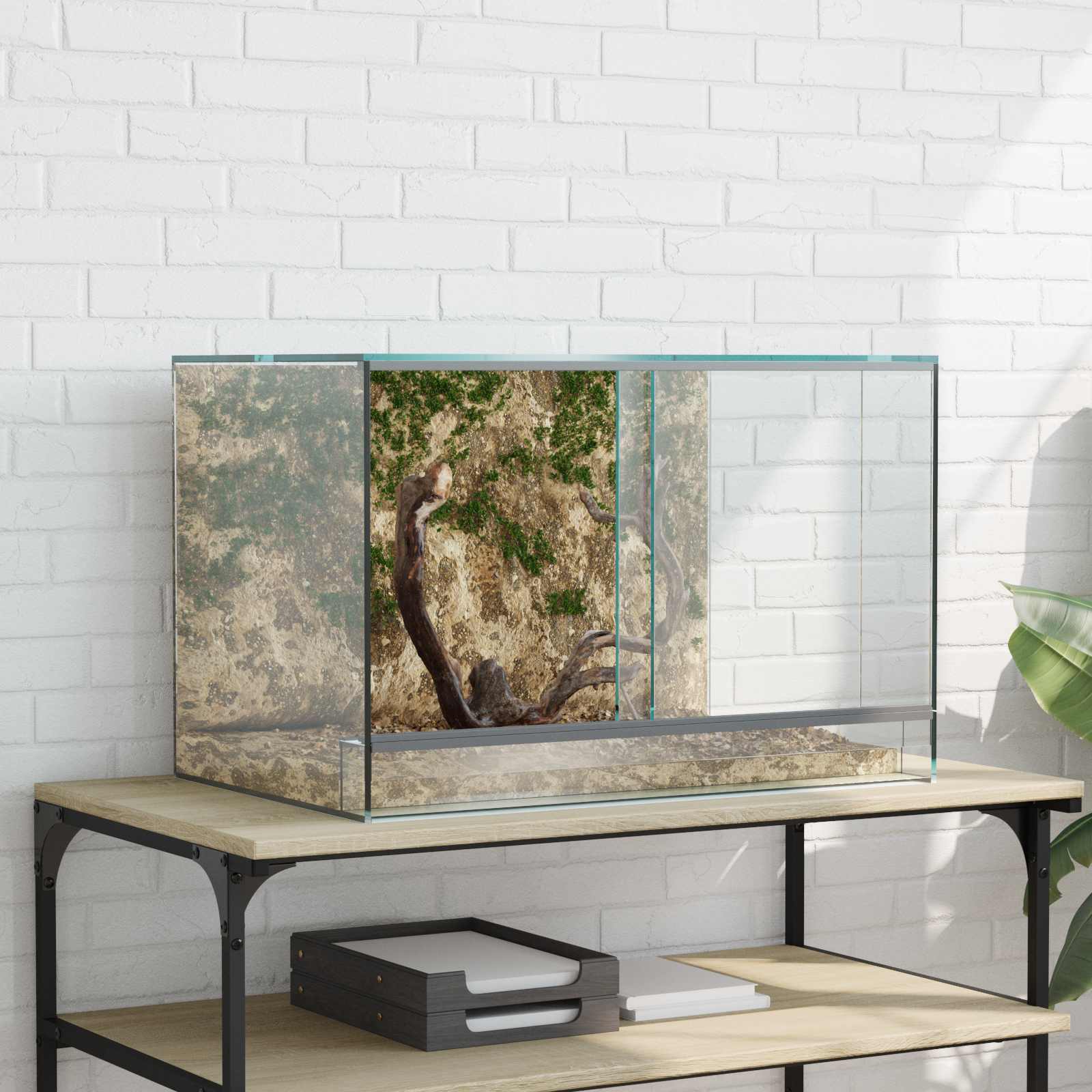 Terrarium met opslag Doorzichtig 60 x 40 x 40 cm Glas is nu te koop bij PeponiXL, paradijselijk wonen!