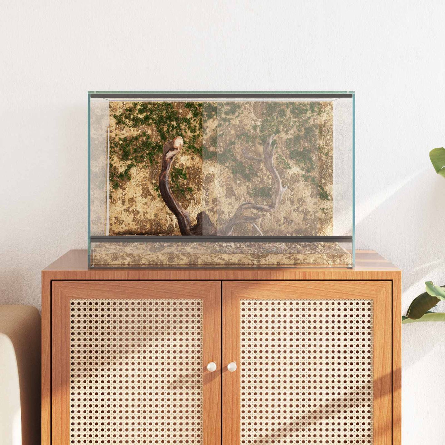 Terrarium met opslag Doorzichtig 60 x 40 x 40 cm Glas is nu te koop bij PeponiXL, paradijselijk wonen!