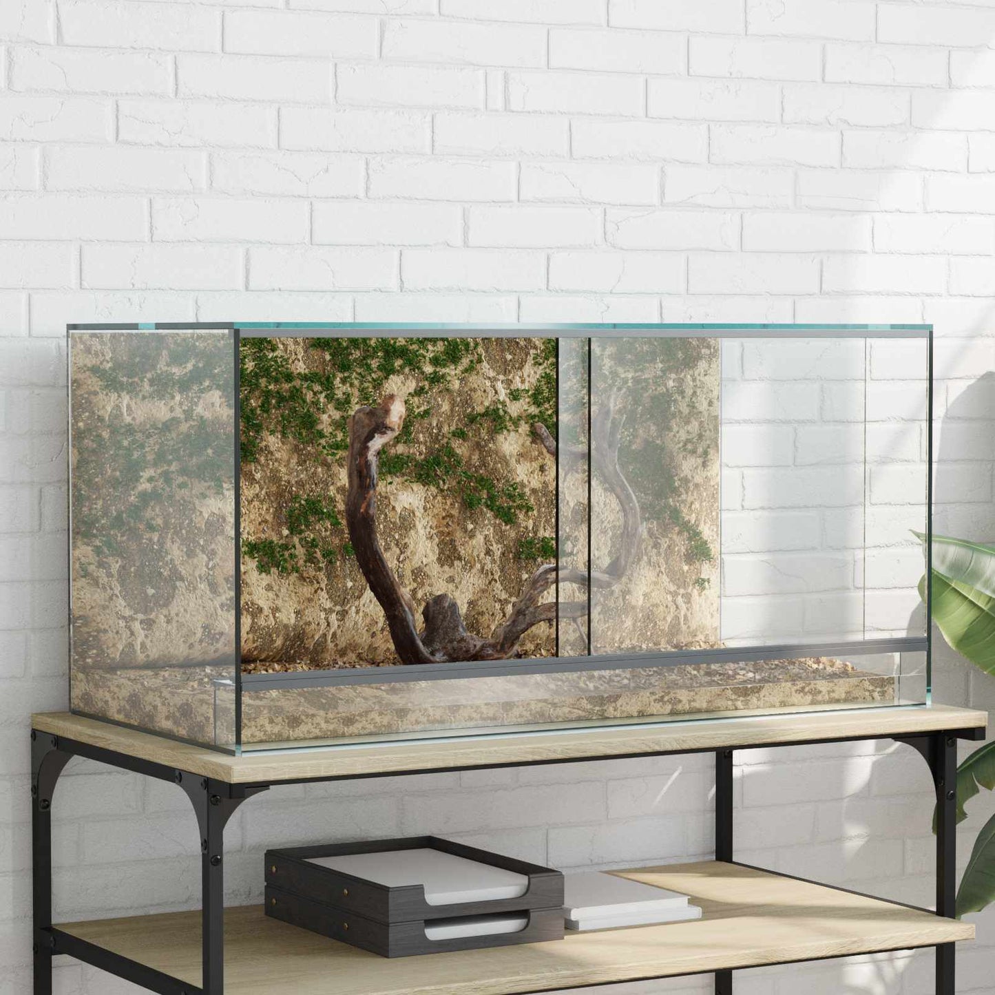 Terrarium met opslag Doorzichtig 80 x 40 x 40 cm Glas is nu te koop bij PeponiXL, paradijselijk wonen!