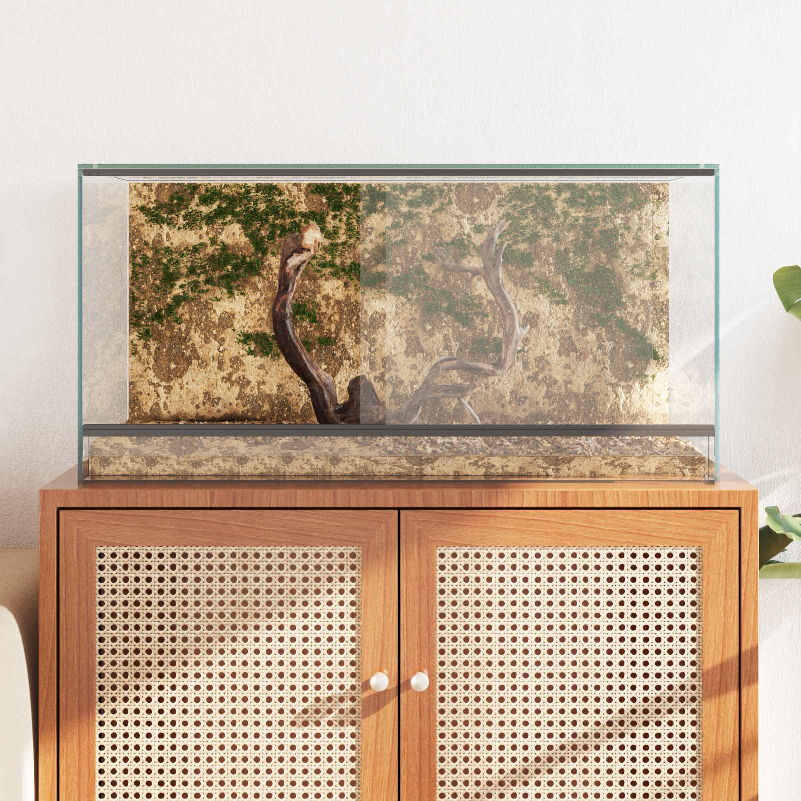 Terrarium met opslag Doorzichtig 80 x 40 x 40 cm Glas is nu te koop bij PeponiXL, paradijselijk wonen!