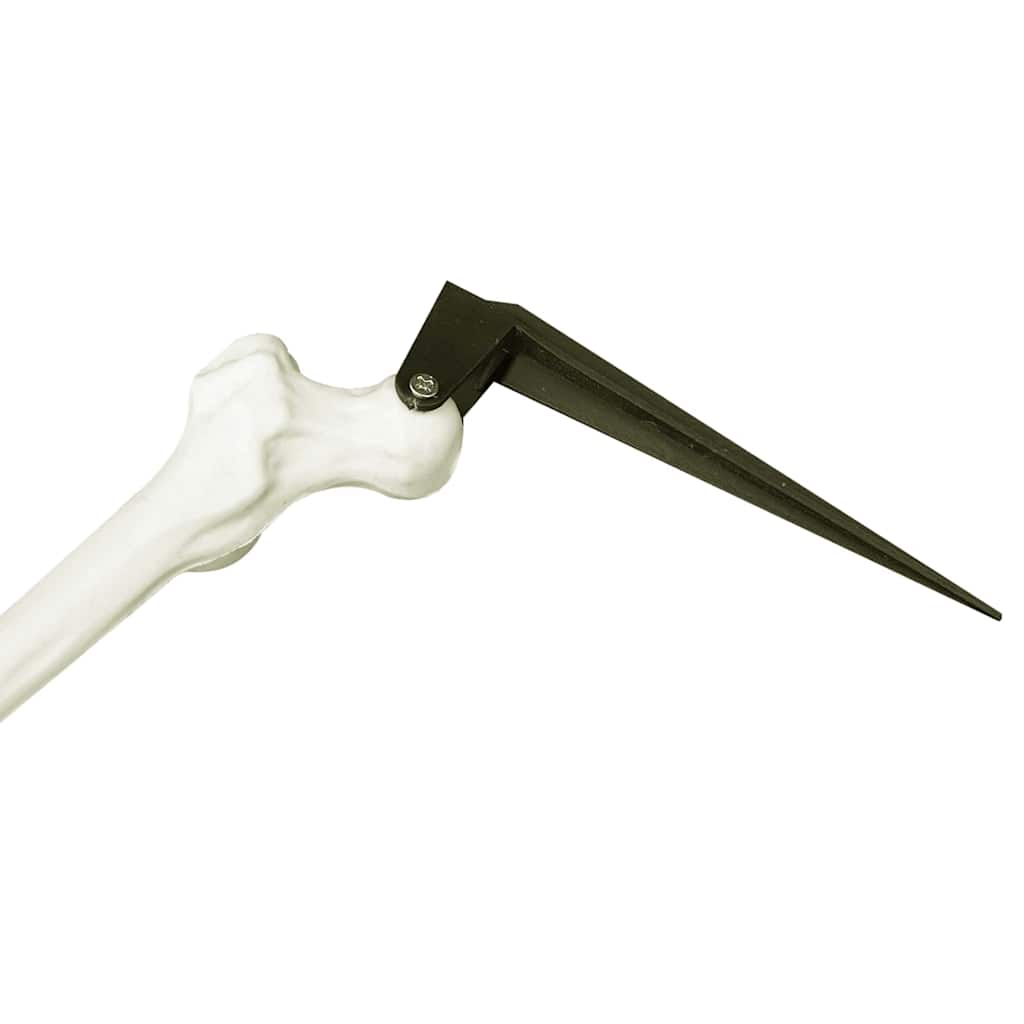 Halloween Skelet Wit 45,5 x 13 cm Kunststof is nu te koop bij PeponiXL, paradijselijk wonen!