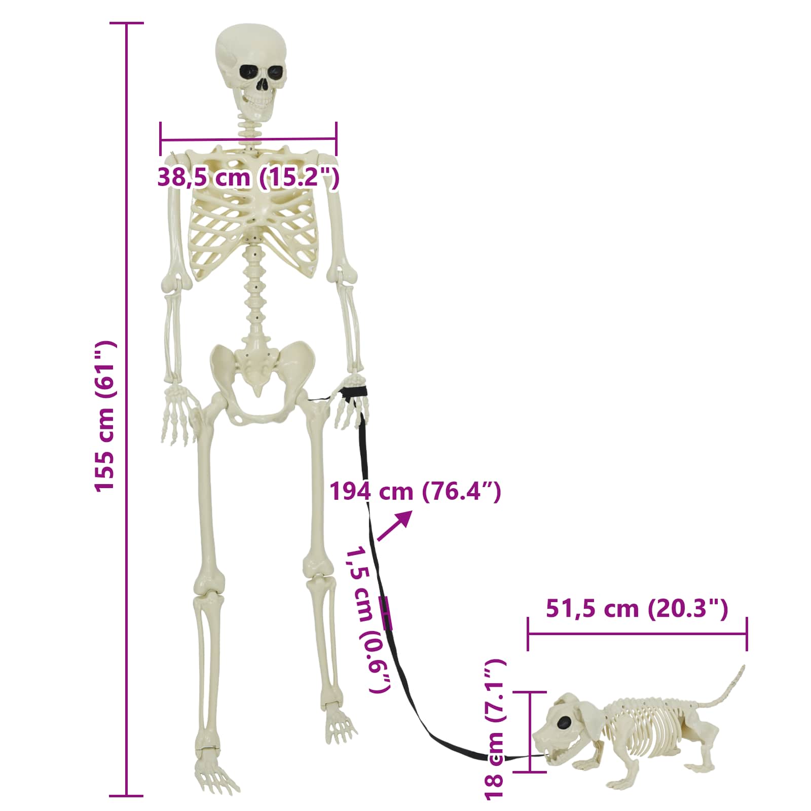 Halloween Decoratie Skelet 2 pcs Wit Polypropyleen is nu te koop bij PeponiXL, paradijselijk wonen!