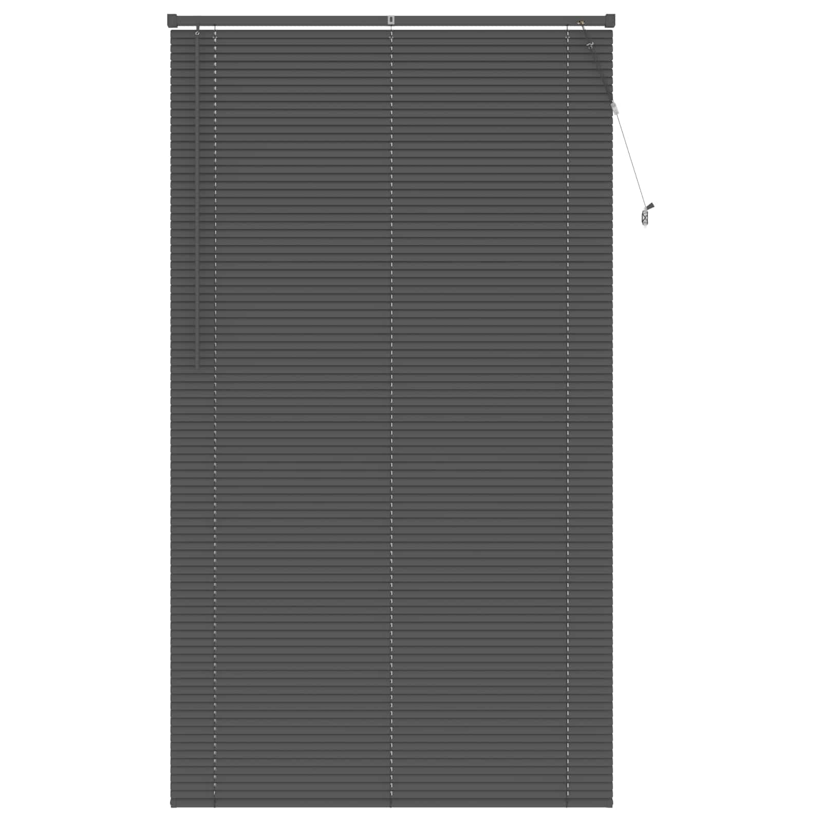Venetiaanse Blind Zilvergrijs 213 x 110 cm PVC is nu te koop bij PeponiXL, paradijselijk wonen!