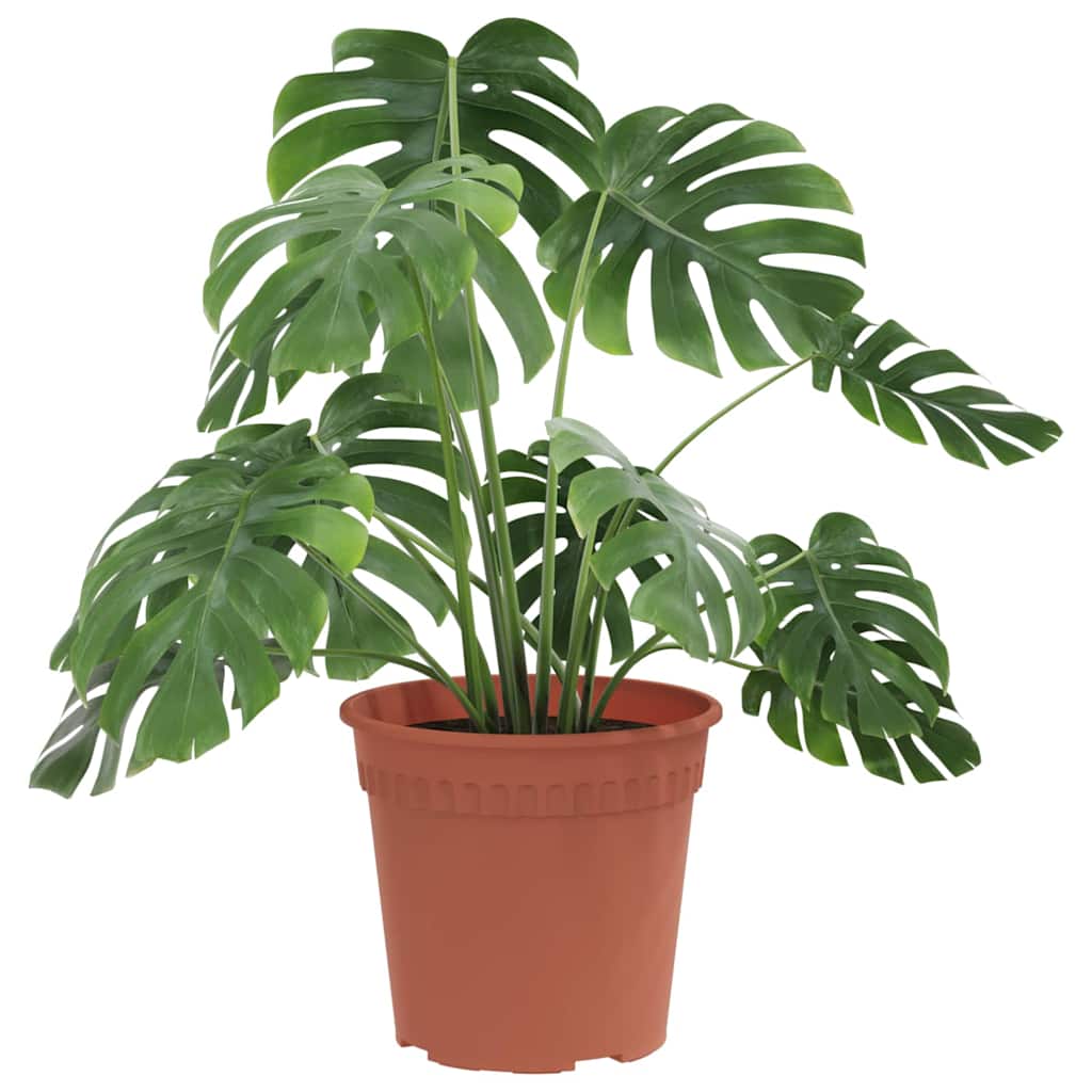 Ronde Bloempot 6 pcs Baksteenrood Ø 19 x 16 cm Kunststof is nu te koop bij PeponiXL, paradijselijk wonen!