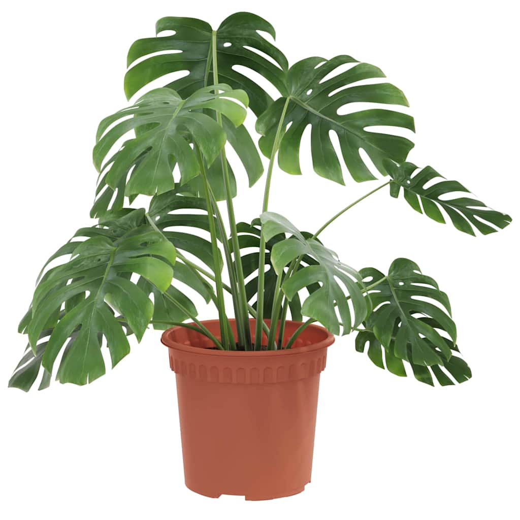 Ronde Bloempot 24 pcs Baksteenrood Ø 15 x 12 cm Kunststof is nu te koop bij PeponiXL, paradijselijk wonen!