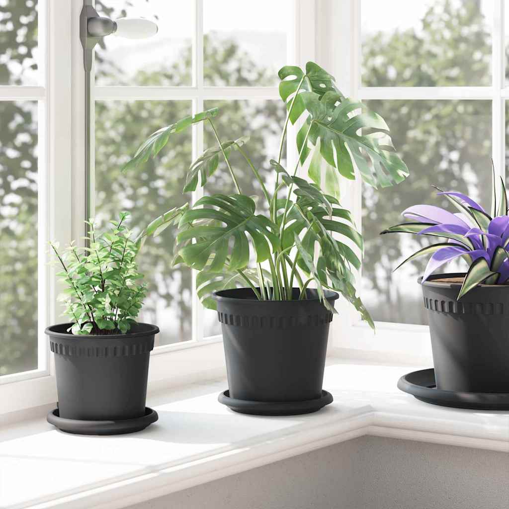 Ronde Bloemenschalen 6 pcs Zwart Ø 15,5 x 2 cm Kunststof is nu te koop bij PeponiXL, paradijselijk wonen!