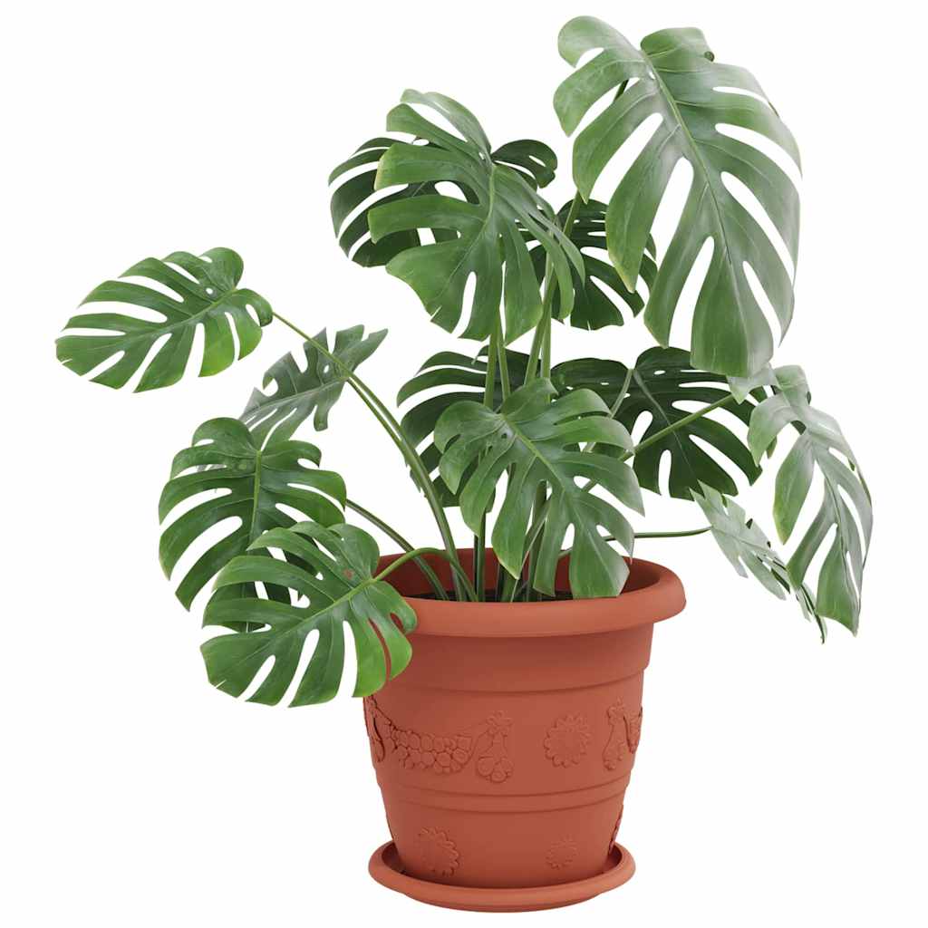 Ronde Bloemenschalen 24 pcs Baksteenrood Ø 14 x 2 cm Kunststof is nu te koop bij PeponiXL, paradijselijk wonen!
