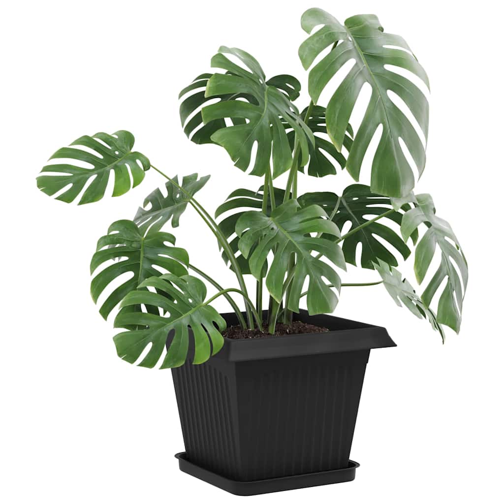 Vierkante Bloemenschotel 6 pcs Zwart 25,5 x 25,5 x 2,5 cm is nu te koop bij PeponiXL, paradijselijk wonen!