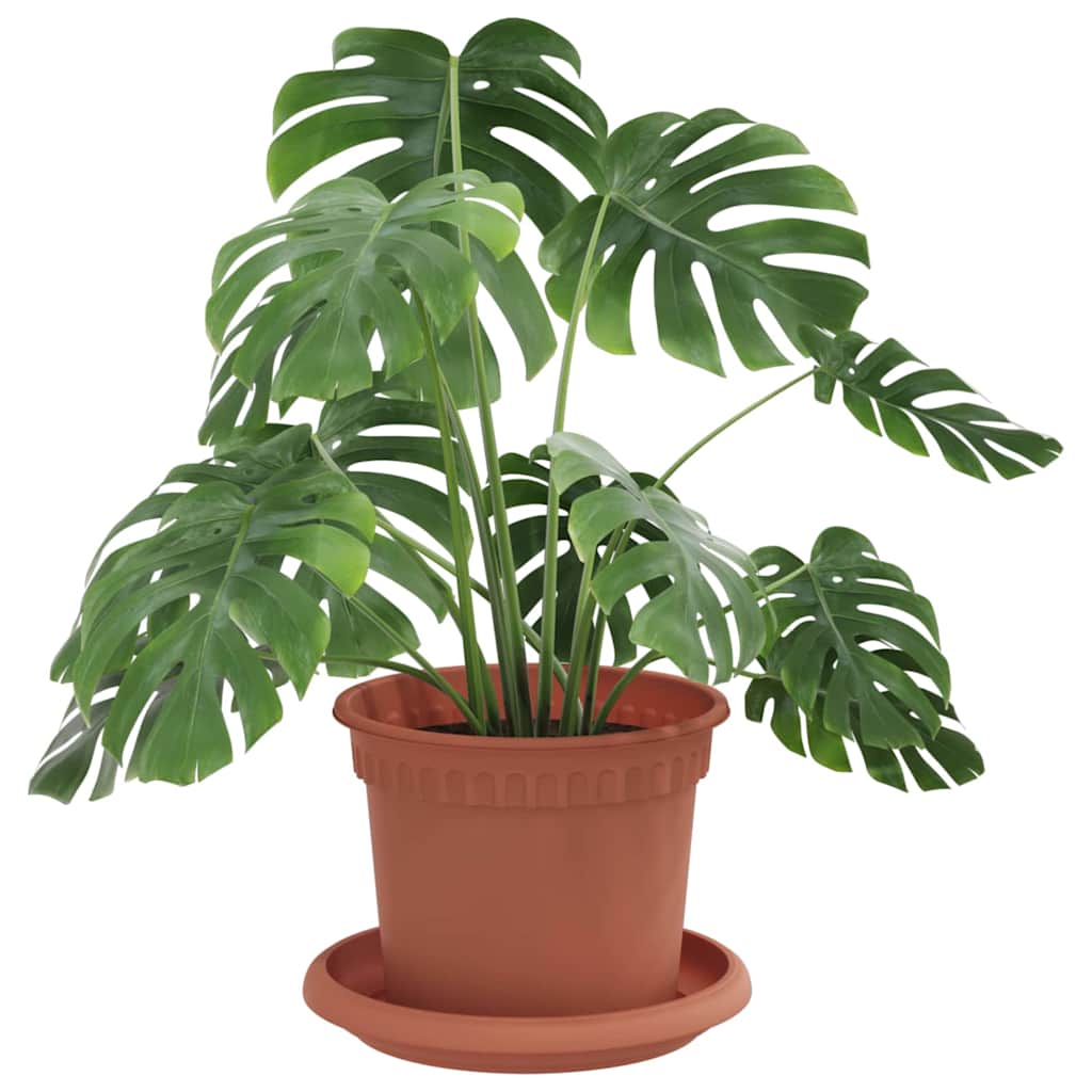 Plantenpotten 24 pcs Baksteenrood Ø 12,5 x 10 cm Kunststof is nu te koop bij PeponiXL, paradijselijk wonen!