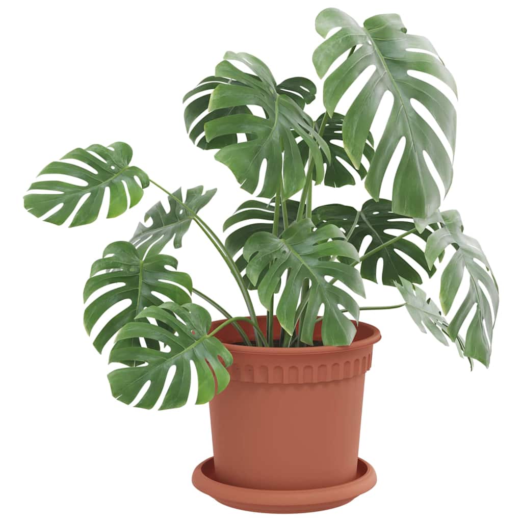Plantenpotten 24 pcs Baksteenrood Ø 15 x 12 cm Kunststof is nu te koop bij PeponiXL, paradijselijk wonen!