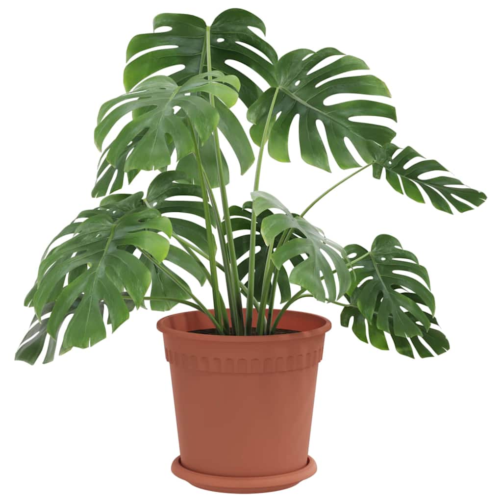 Plantenpotten 24 pcs Baksteenrood Ø 19 x 16 cm Kunststof is nu te koop bij PeponiXL, paradijselijk wonen!
