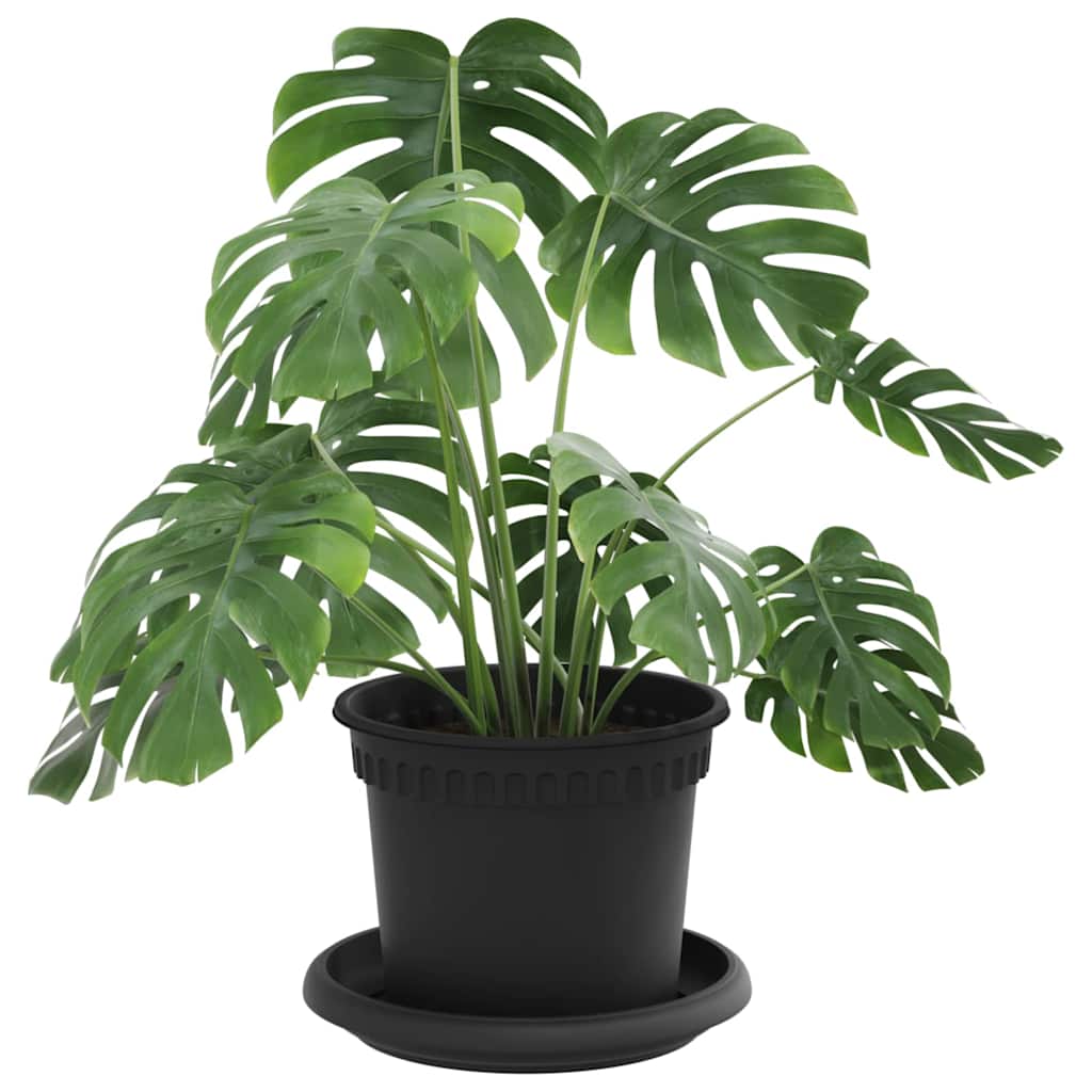 Plantenpotten 24 pcs Zwart Ø 12,5 x 10 cm Kunststof is nu te koop bij PeponiXL, paradijselijk wonen!