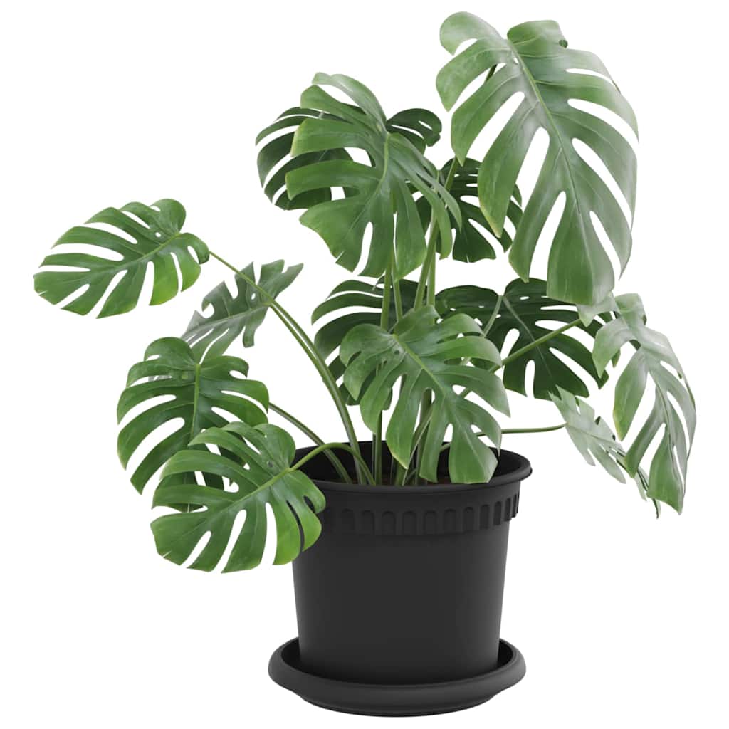 Plantenpotten 24 pcs Zwart Ø 15 x 12 cm Kunststof is nu te koop bij PeponiXL, paradijselijk wonen!
