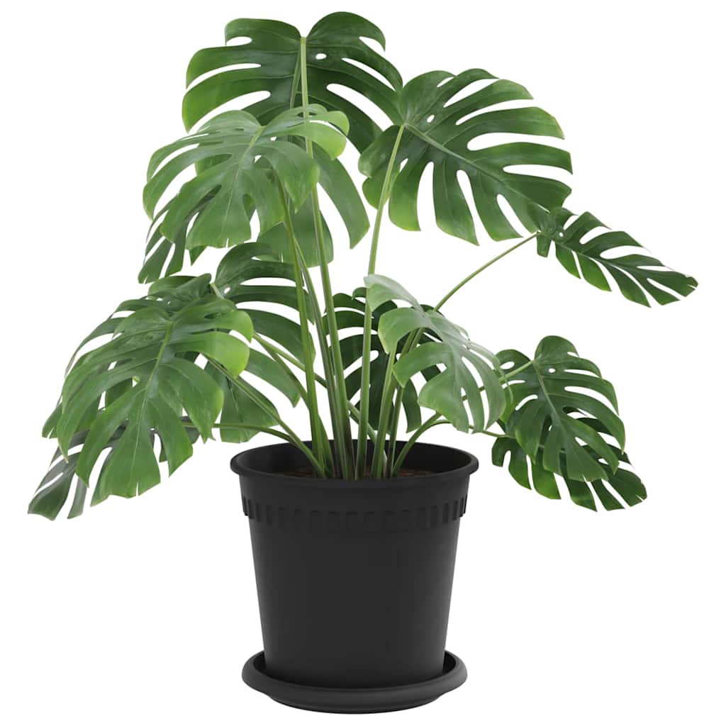 Plantenpotten 24 pcs Zwart Ø 17 x 14 cm Kunststof is nu te koop bij PeponiXL, paradijselijk wonen!