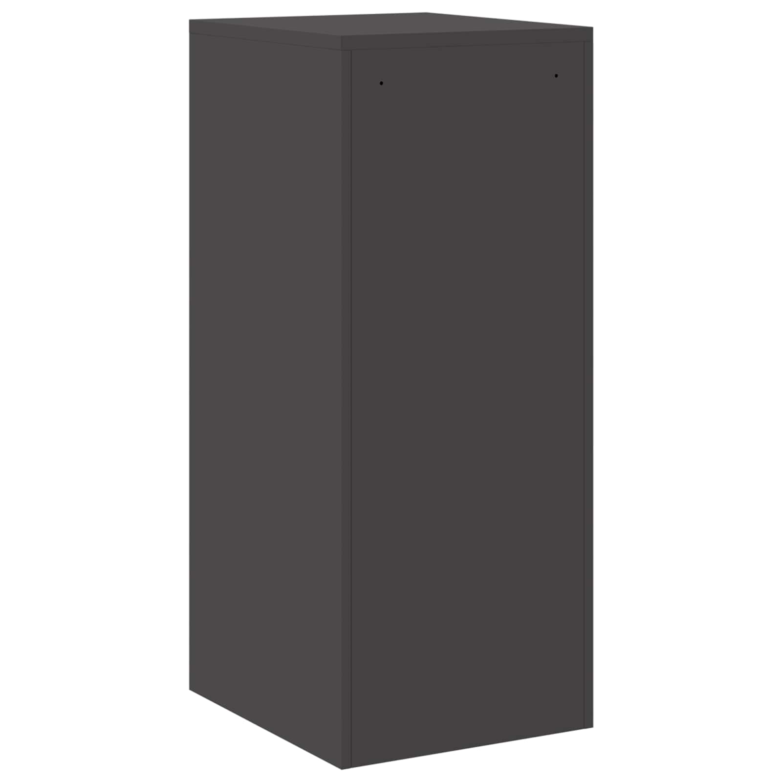 Bestandenkast Zwart 44 x 50 x 106,5 cm Koudgewalst Staal is nu te koop bij PeponiXL, paradijselijk wonen!
