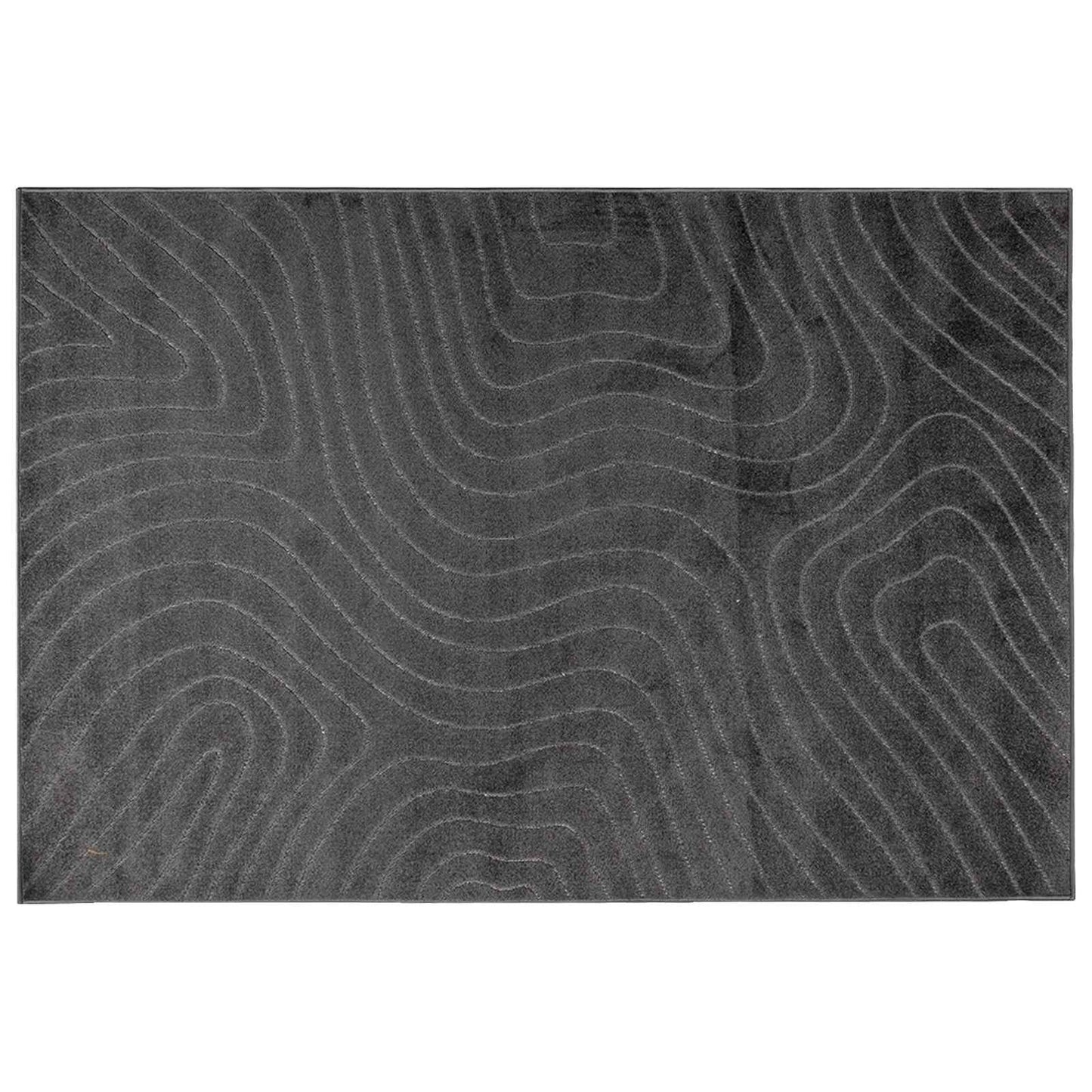 Vloerkleden PALMERAS Antraciet 230 x 160 cm Polyester is nu te koop bij PeponiXL, paradijselijk wonen!