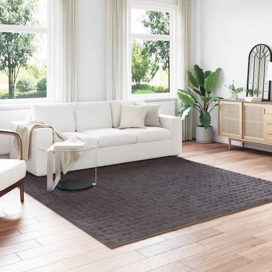 Vloerkleden Vierkant SIROLO Antraciet 240 x 240 cm Polyester is nu te koop bij PeponiXL, paradijselijk wonen!