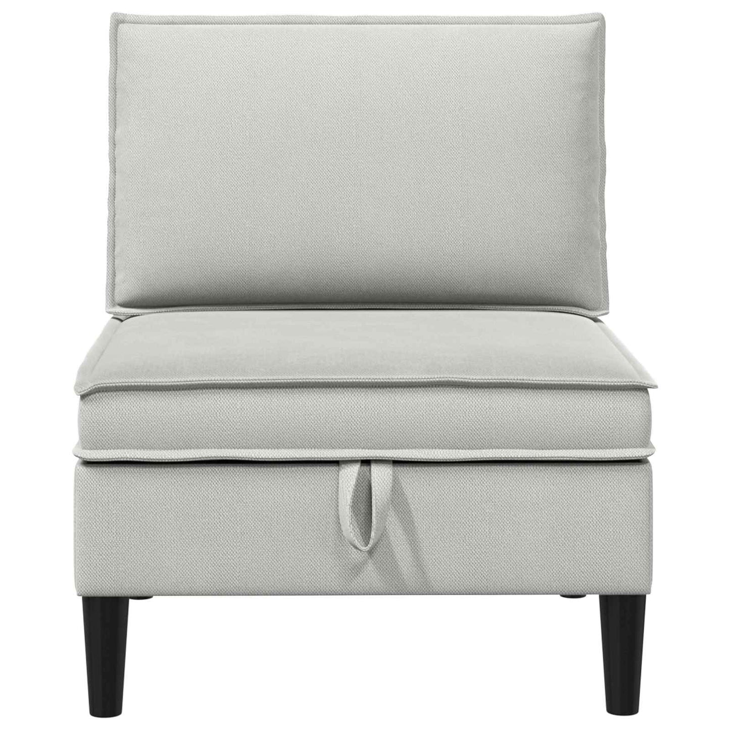 Middelse Sofa met Opbergruimte Lichtgrijs Fluweel is nu te koop bij PeponiXL, paradijselijk wonen!