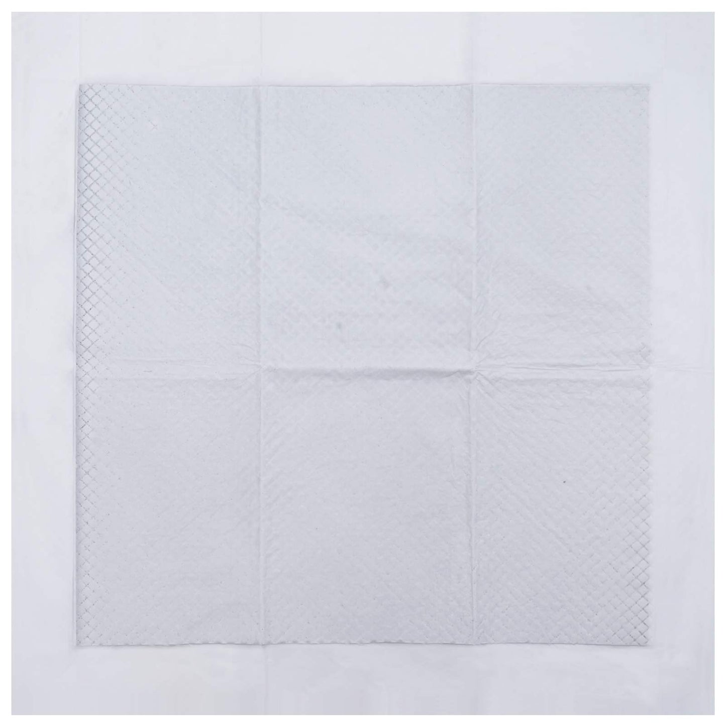 Niet-geweven stof huisdier trainingspad 400 pcs 60 x 60 cm is nu te koop bij PeponiXL, paradijselijk wonen!