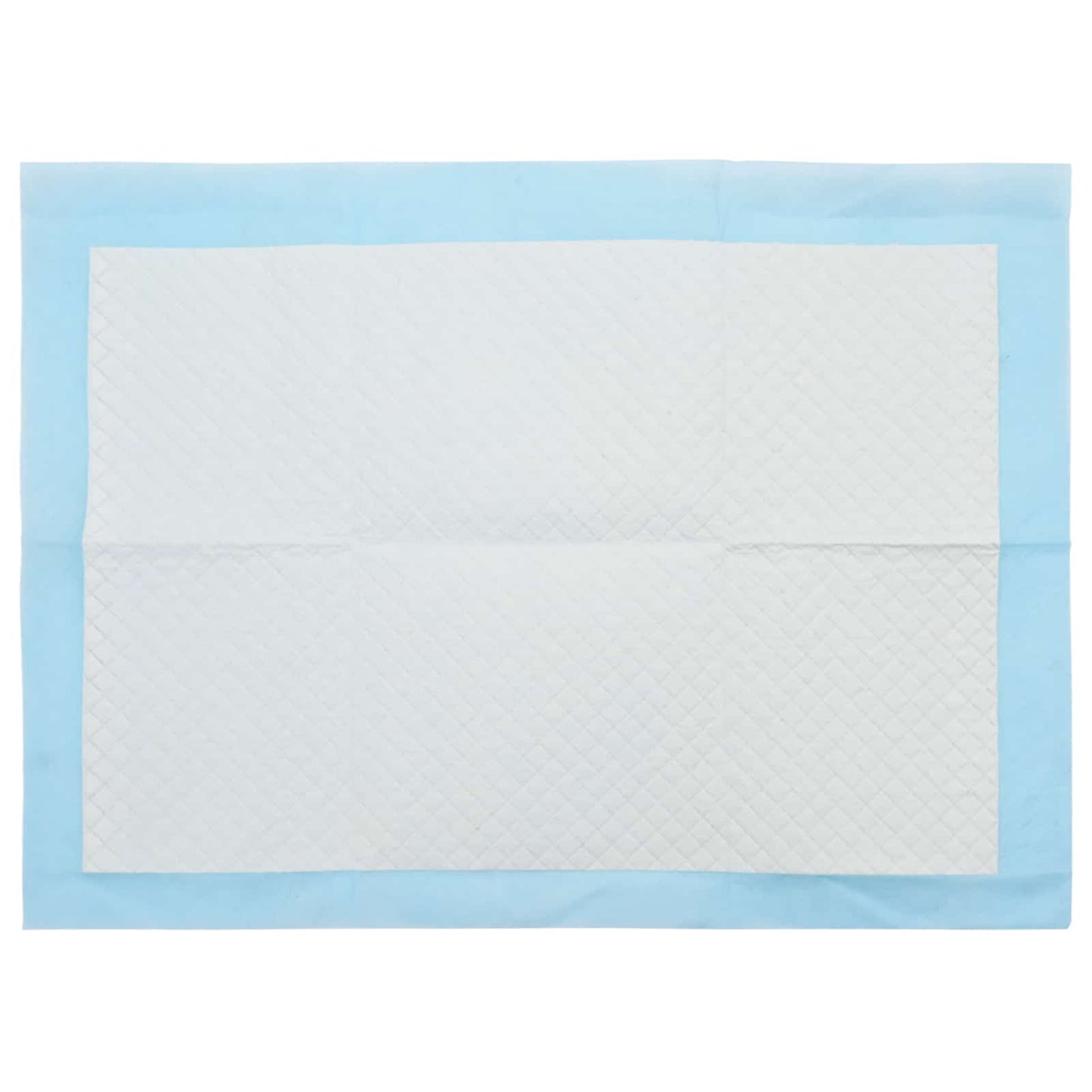 Niet-geweven stof huisdier trainingspad 100 pcs Blauw en Wit is nu te koop bij PeponiXL, paradijselijk wonen!