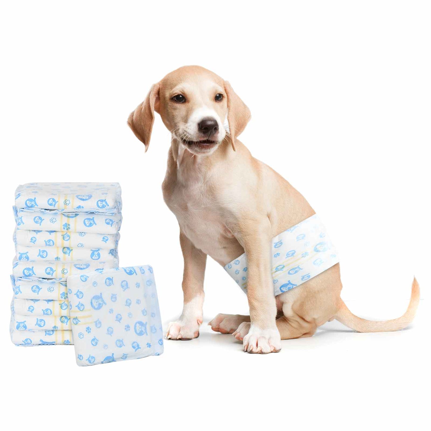Wegwerphondendiensten Mannelijk 30 pcs Wit XS is nu te koop bij PeponiXL, paradijselijk wonen!