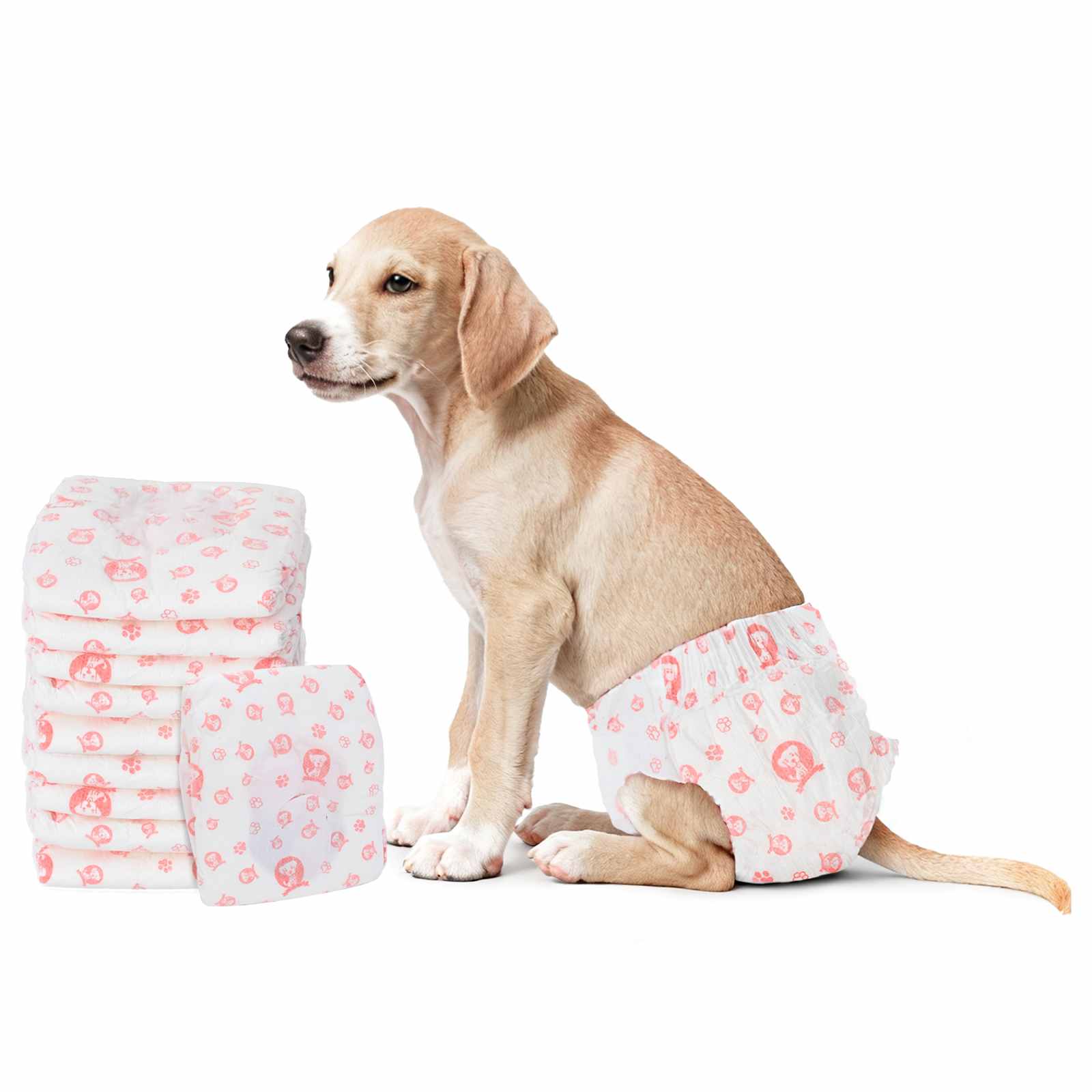 Wegwerpdoggyluier voor teefjes 30 pcs Wit S is nu te koop bij PeponiXL, paradijselijk wonen!