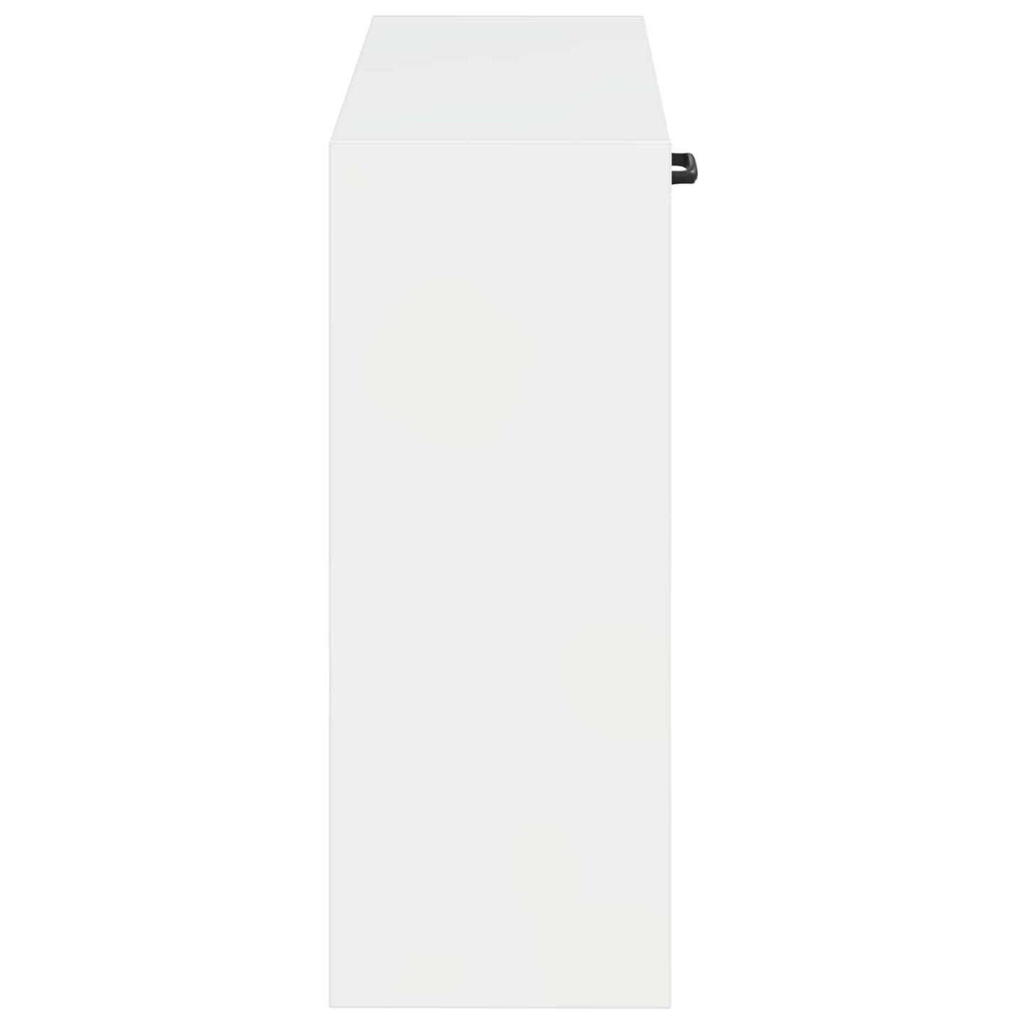 Wandgemonteerde Schoenkast HOORN 71 x 17 x 43 cm Bewerkt hout is nu te koop bij PeponiXL, paradijselijk wonen!
