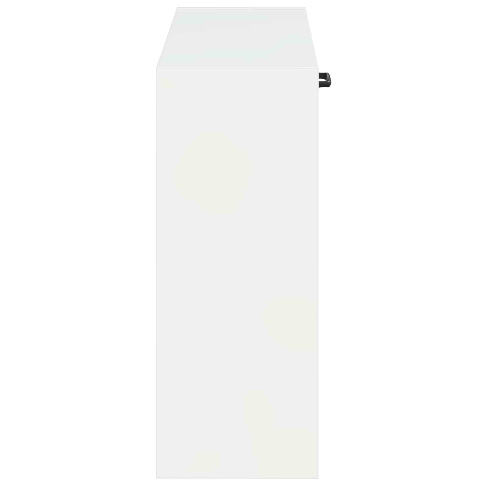 Wandgemonteerde Schoenkast HOORN 71 x 17 x 43 cm Bewerkt hout is nu te koop bij PeponiXL, paradijselijk wonen!