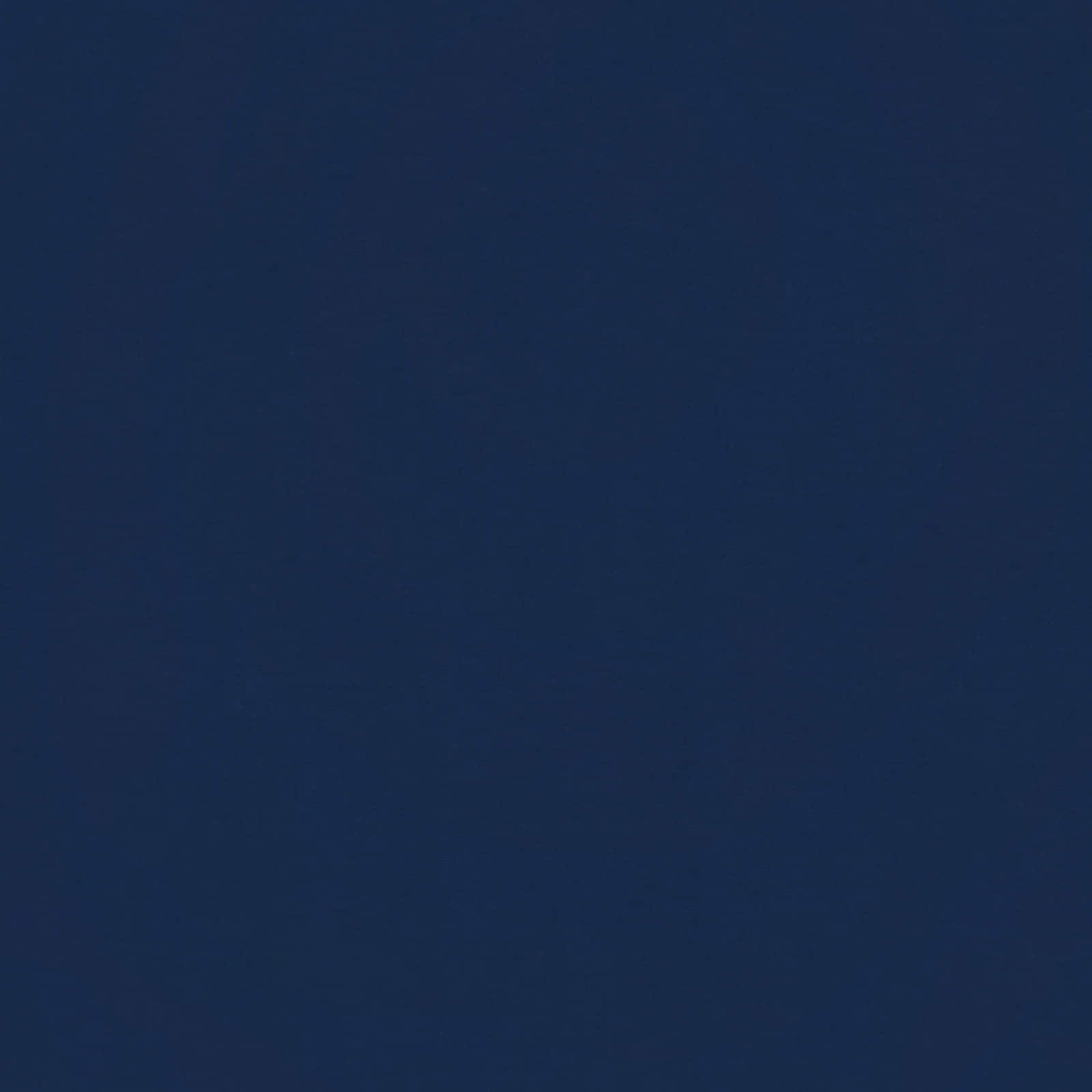 Winter Dekbed Gekwilt Donkerblauw 240 x 260 cm Microfiber is nu te koop bij PeponiXL, paradijselijk wonen!