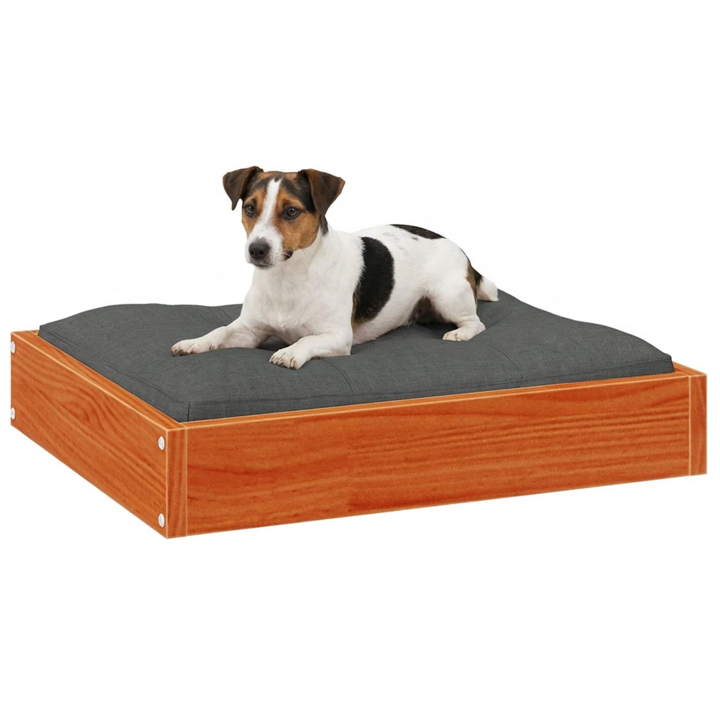 Hondenbed Wasbruin 51,5 x 44 x 9 cm Massief Vurenhout is nu te koop bij PeponiXL, paradijselijk wonen!