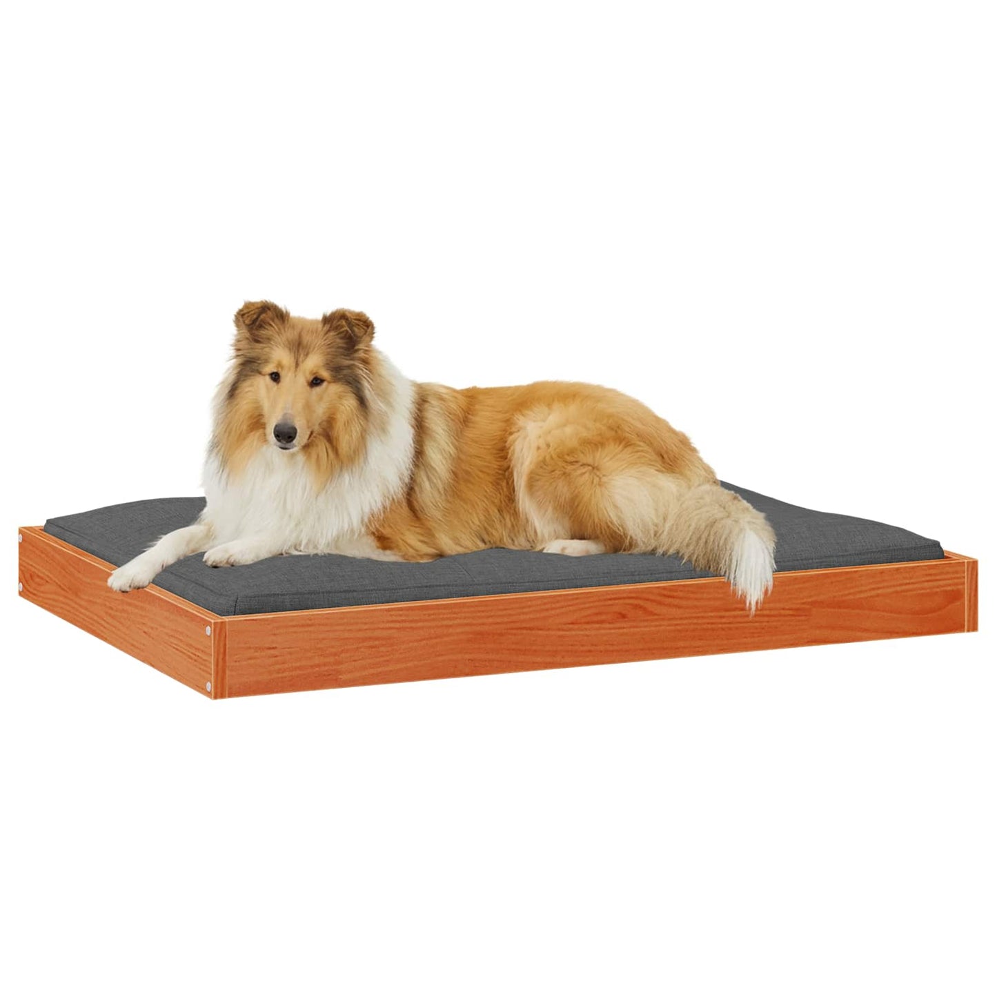 Hondenbed Wasbruin 101,5 x 74 x 9 cm Massief Vurenhout is nu te koop bij PeponiXL, paradijselijk wonen!