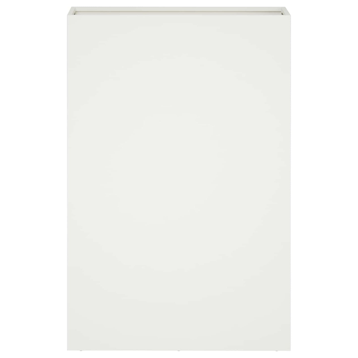 Plantenbak 2 st Wit 40 x 20 x 75 cm Koudgewalst staal