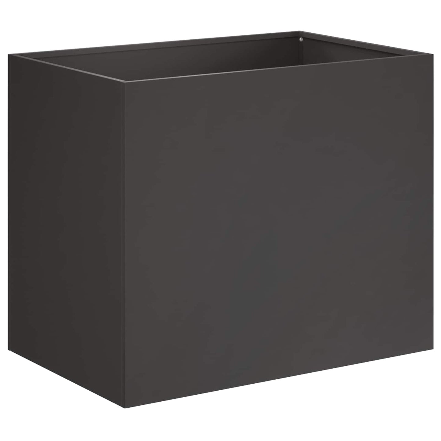 Plantenbak 2 st Zwart 50 x 40 x 50 cm Koudgewalst staal