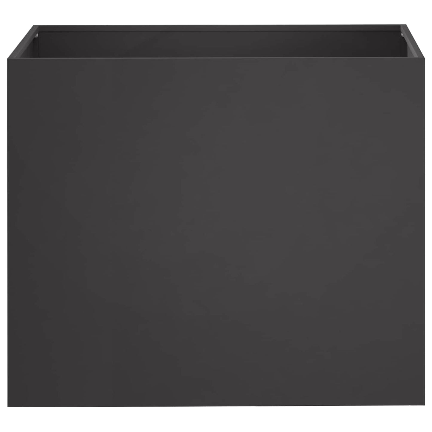 Plantenbak 2 st Zwart 50 x 40 x 50 cm Koudgewalst staal