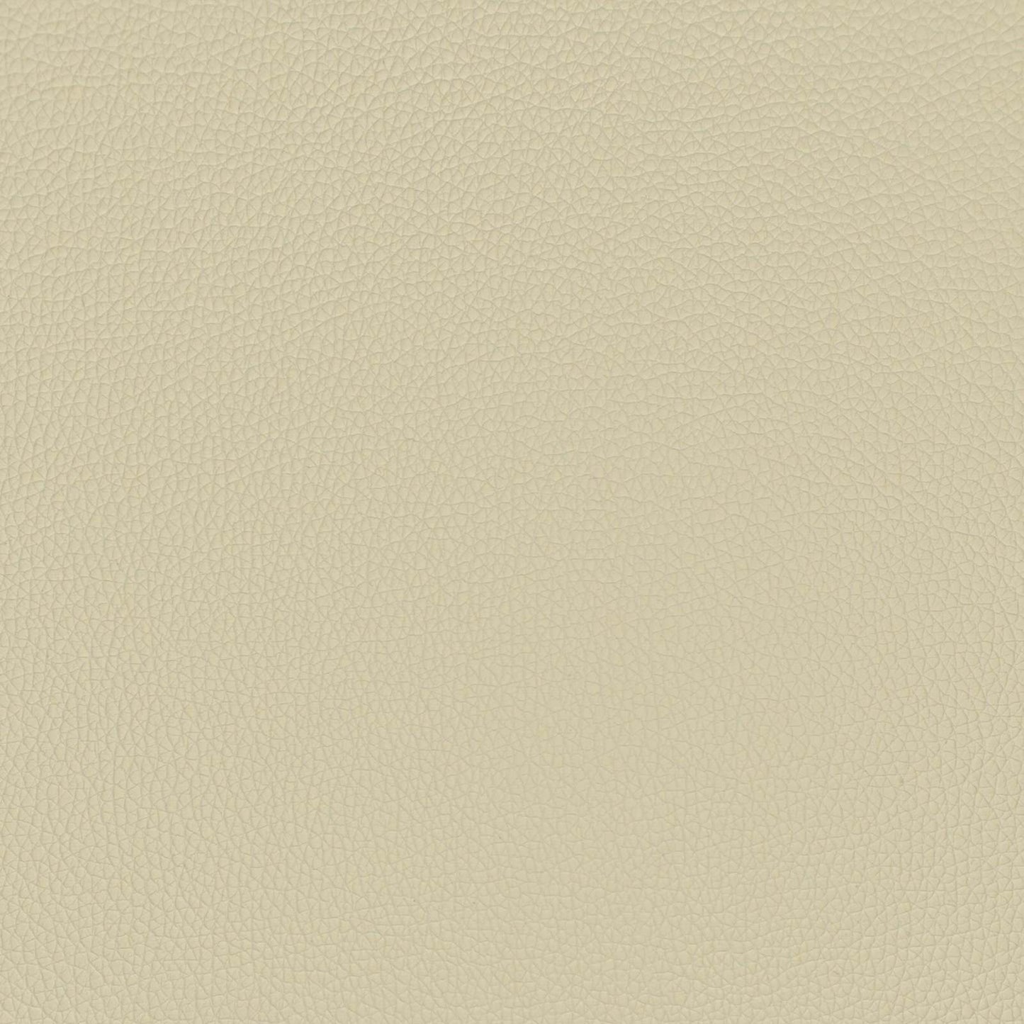 Hangend Hoofdeinde Crème 100 x 55 x 5 cm Nep Leer is nu te koop bij PeponiXL, paradijselijk wonen!