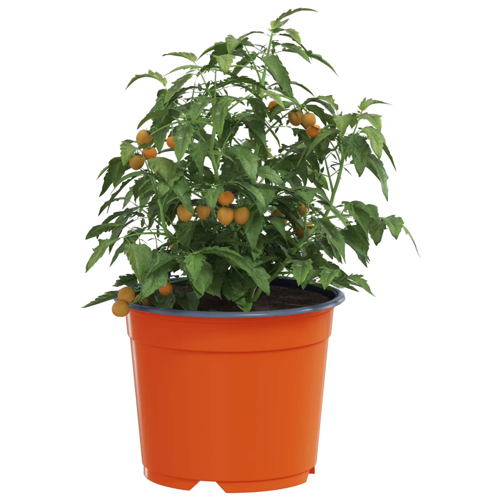 Ronde Bloempot 50 pcs Terracotta Ø 10 x 8 cm Kunststof is nu te koop bij PeponiXL, paradijselijk wonen!