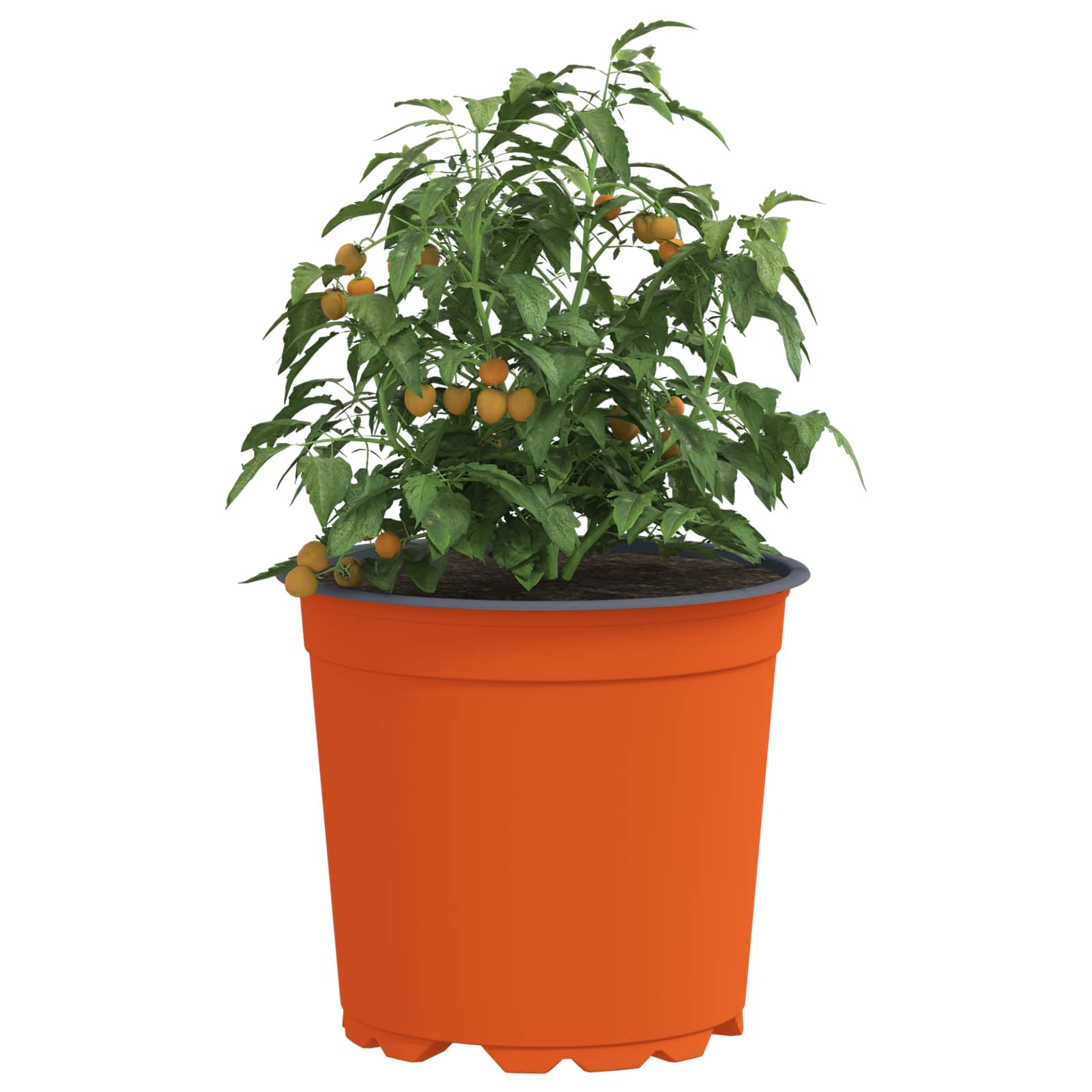 Bloempot 100 pcs Terracotta Ø 15 x 13 cm Kunststof is nu te koop bij PeponiXL, paradijselijk wonen!
