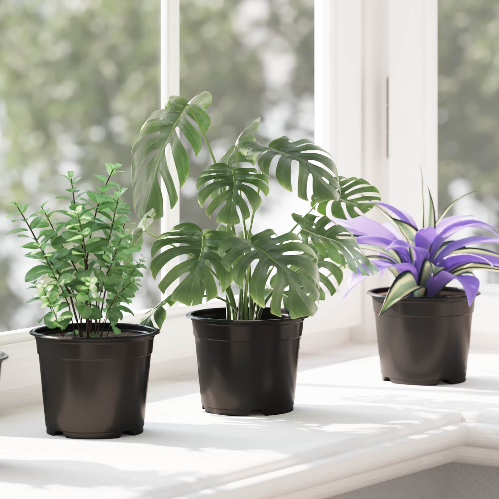 Ronde Bloempot 50 pcs Zwart Ø 10 x 8 cm Kunststof is nu te koop bij PeponiXL, paradijselijk wonen!