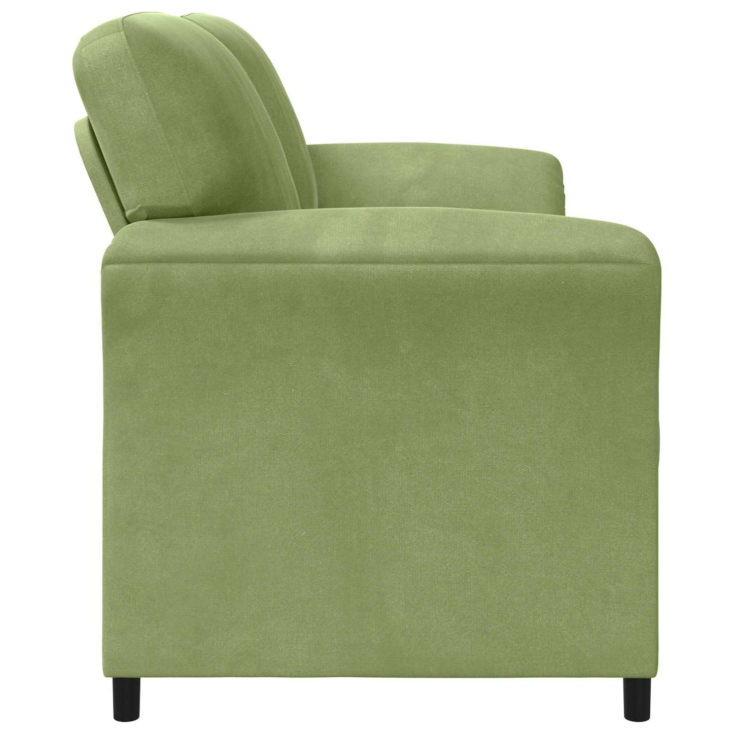2-Zits Sofa Lichtgroen 158 x 83 x 95 cm Fluweel is nu te koop bij PeponiXL, paradijselijk wonen!