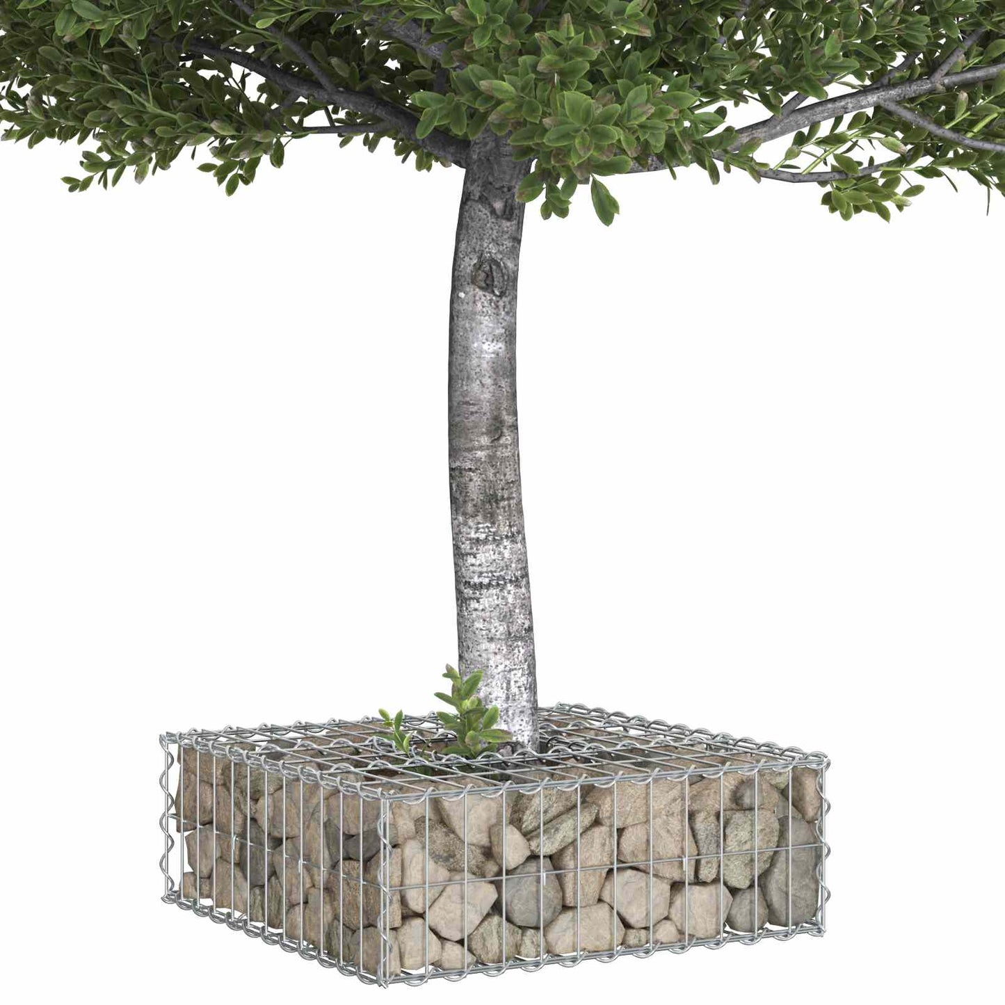 Gabion Verhoogd Bed Zilver is nu te koop bij PeponiXL, paradijselijk wonen!