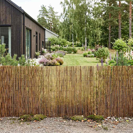 Tuinhek Geë carboniseerd 300 x 90 cm Riet is nu te koop bij PeponiXL, paradijselijk wonen!