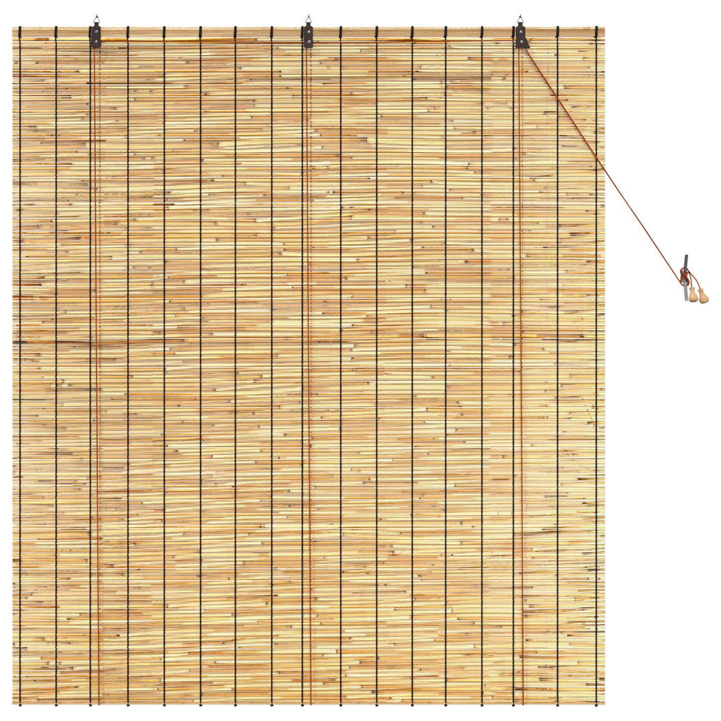 Rolgordijn Naturel 140 x 160 cm Riet