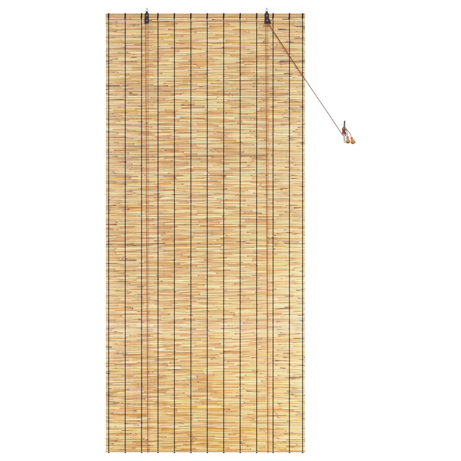 Rolgordijn Naturel 100 x 220 cm Riet is nu te koop bij PeponiXL, paradijselijk wonen!