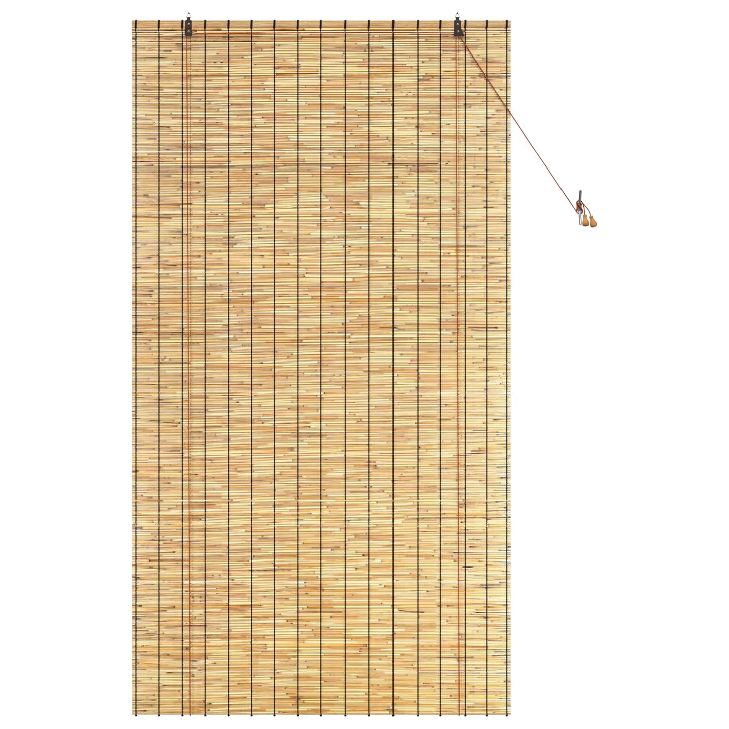 Rolgordijn Naturel 120 x 220 cm Riet is nu te koop bij PeponiXL, paradijselijk wonen!
